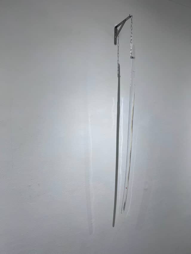 自己所有