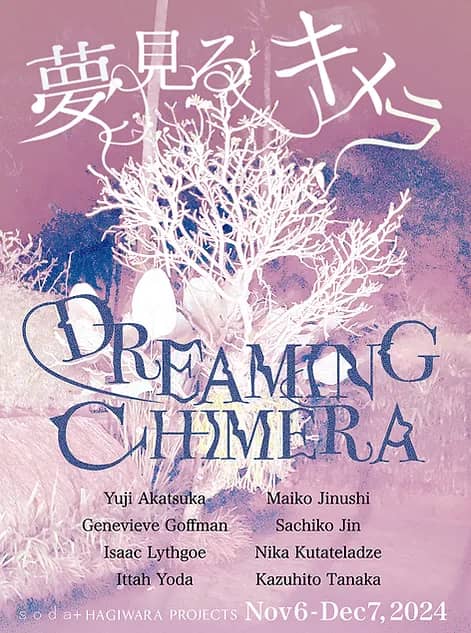 夢見るキメラ Dreaming Chimera