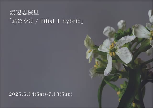 渡辺志桜里展「おほやけ / Filial 1 hybrid」