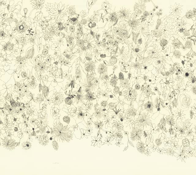 Shu Shiro | far away -Beyond Two Forests-
