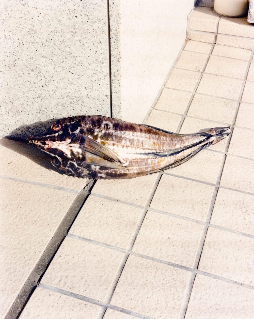 原田直宏 写真展「２」