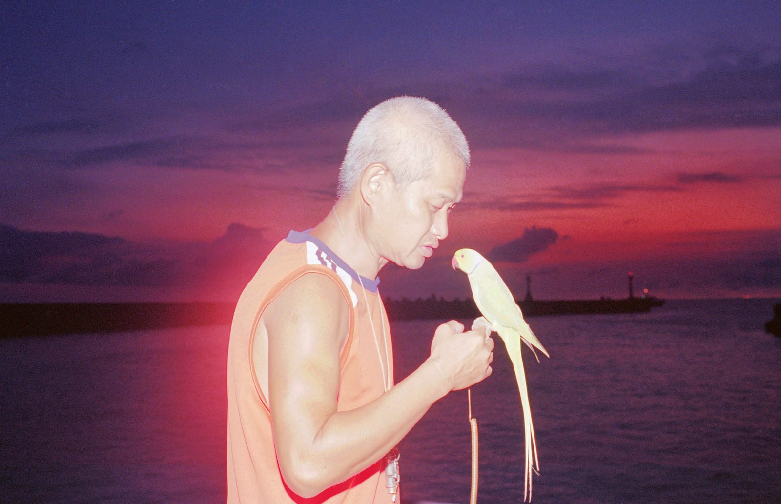 水島貴大写真集出版記念展「環島回憶錄 / Memoirs of Huandao Taiwan 2020-2025」