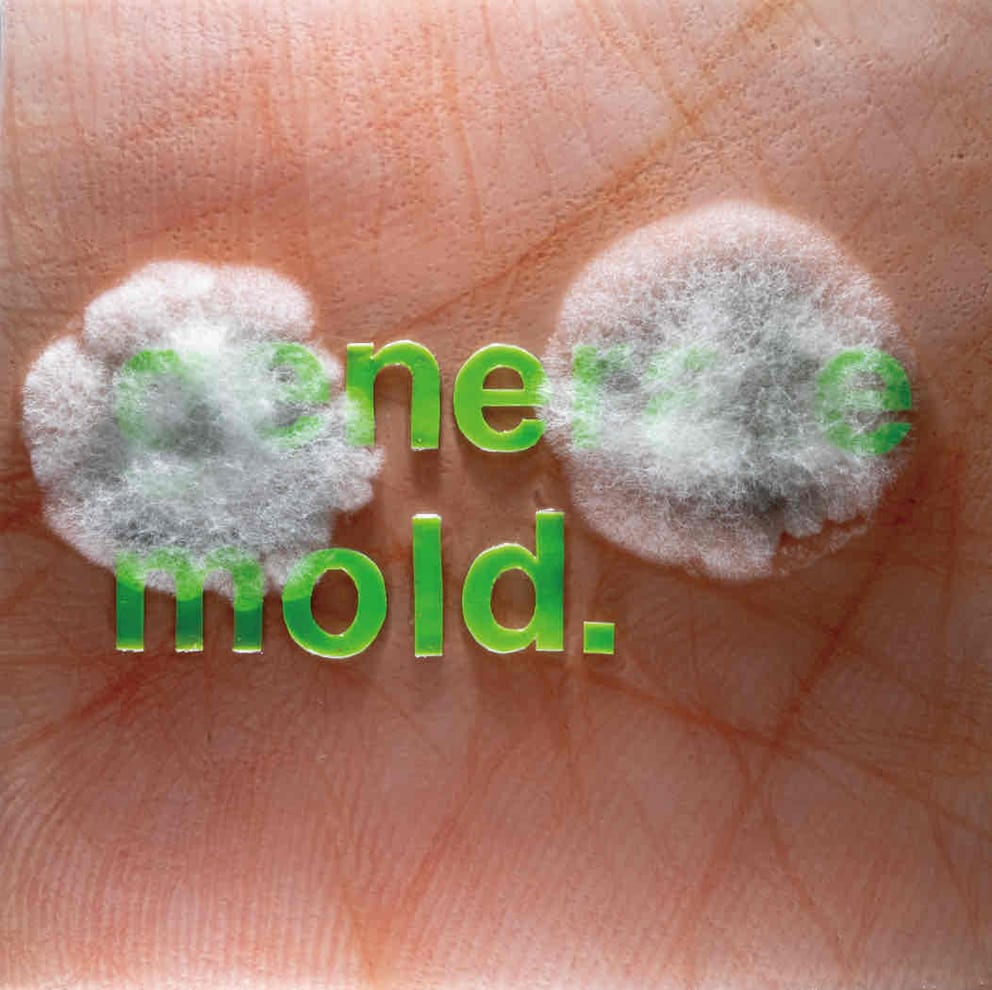 generate mold.