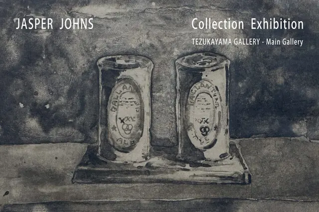 Gallery Collection – Jasper Johns