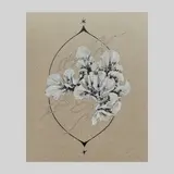 タニグチカナコ