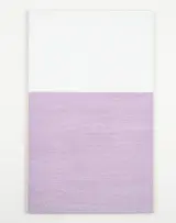額田 宣彦 Nobuhiko Nukata