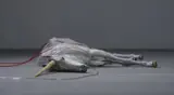 平野真美
