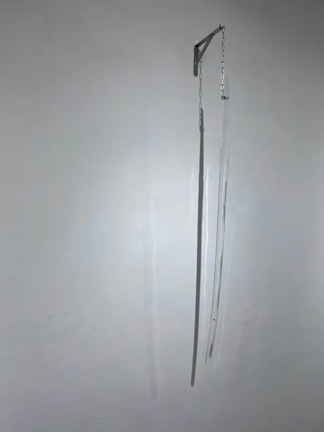 自己所有