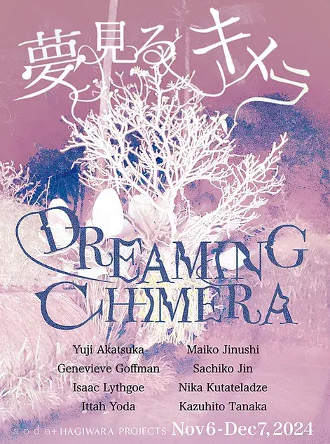 夢見るキメラ Dreaming Chimera