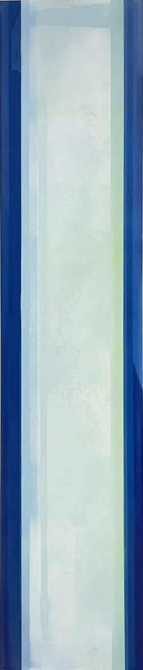 Cathode and Anode