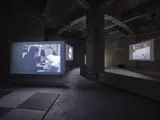 エレナ・ノックス