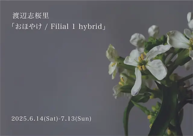 渡辺志桜里展「おほやけ / Filial 1 hybrid」