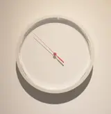 佐藤雅晴