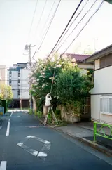 石渡朋