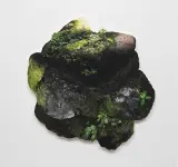 椎橋良太