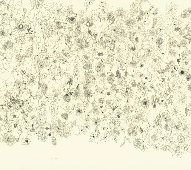 Shu Shiro | far away -Beyond Two Forests-