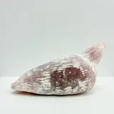 シモン・カーニー