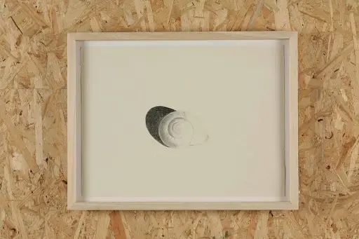 A Mosquito Under A Paper Cup in Tokyo, 2007, AOYAMA|MEGURO