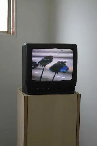 A Mosquito Under A Paper Cup in Tokyo ( + other selected works from 1997- 2007)