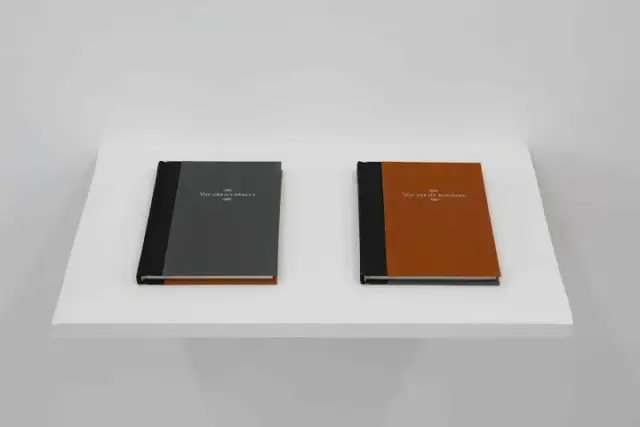 A Mosquito Under A Paper Cup in Tokyo ( + other selected works from 1997- 2007)