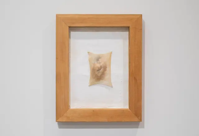 「turn up」部分 ・ 2022 ・ rawhide, gypsum, wood, pin