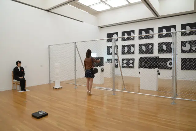 “Chain-Link Fence”. Chain-link fence, instructions, visitors. 2016