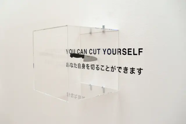 “You Can Cut Yourself”. Knife, instructions, visitors. 2016