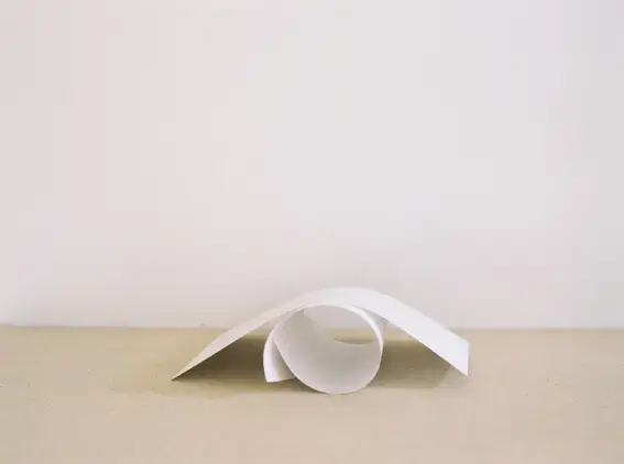 untitled 2007 Color print 50 x 36 cm