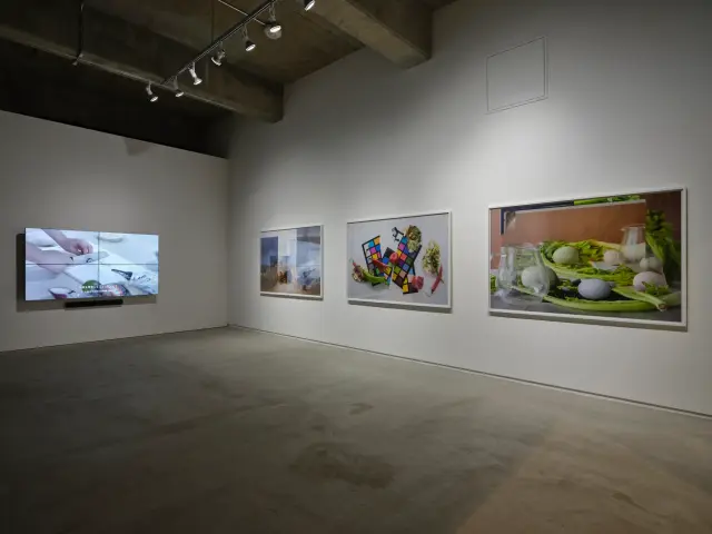 「Echoes of Monologues」展示風景、ANOMALY、東京、2020 撮影: 三嶋一路