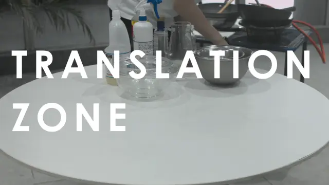 《Translation Zone》(2019) / ビデオ (4Kシングルチャンネル) / 27’ 30”