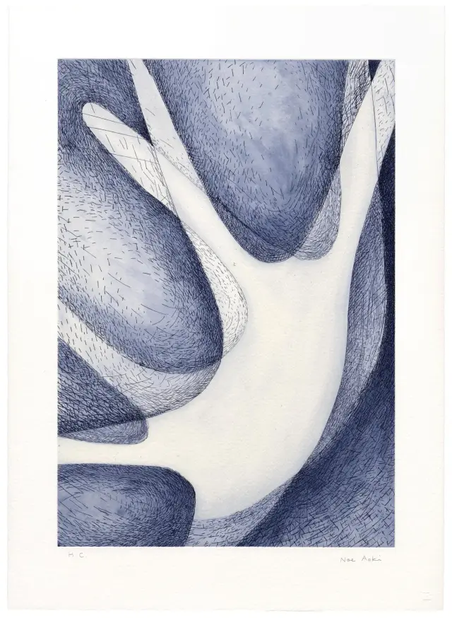 plasmolysis 4, 2015