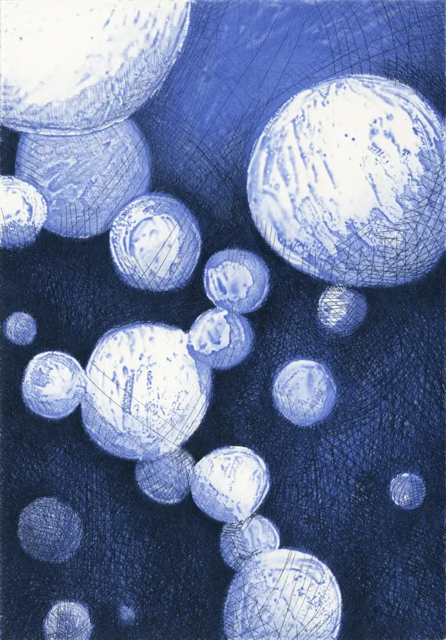 plasmolysis 3, 2015