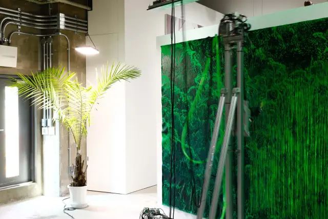 《Artificial green by nature green 2.0 (collaboration work with Bagus Pandega)》(部分) / 今津景「Mapping the Land / Body / Stories of its Past」展示風景、ANOMALY、東京、2021 / 撮影：木奥惠三