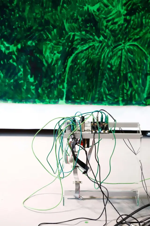 《Artificial green by nature green 2.0 (collaboration work with Bagus Pandega)》(部分) / 今津景「Mapping the Land / Body / Stories of its Past」展示風景、ANOMALY、東京、2021 / 撮影：木奥惠三