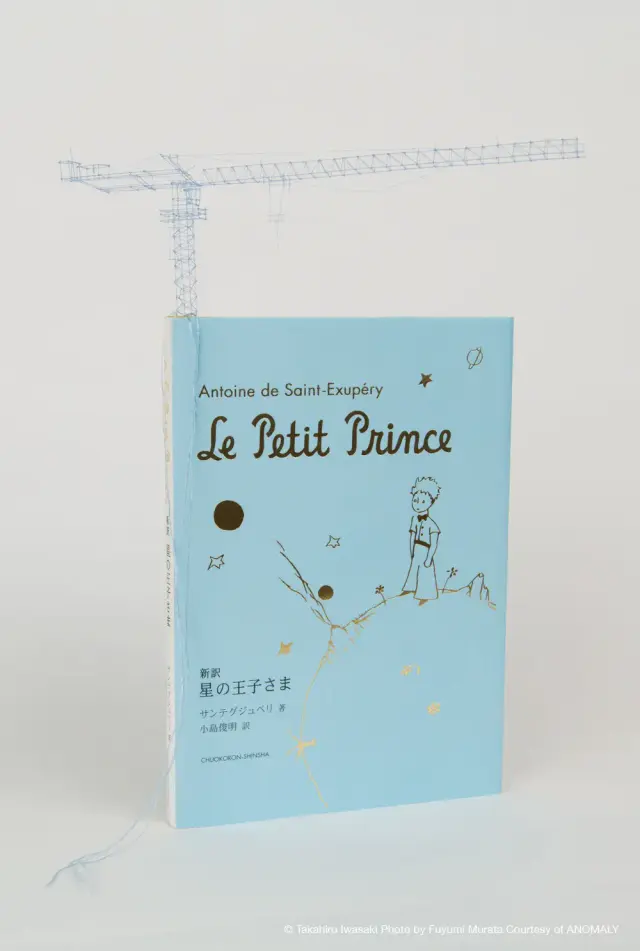 Tectonic Model (Antoine de Saint-Exupéry’s "Le Petit Prince") , 2016