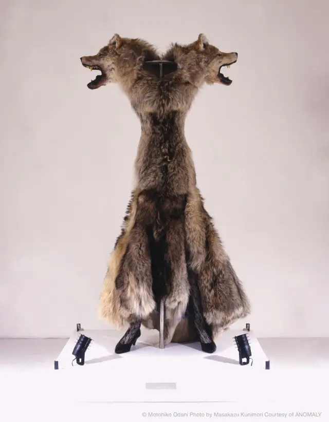 Human Lesson (Dress 01), 1996