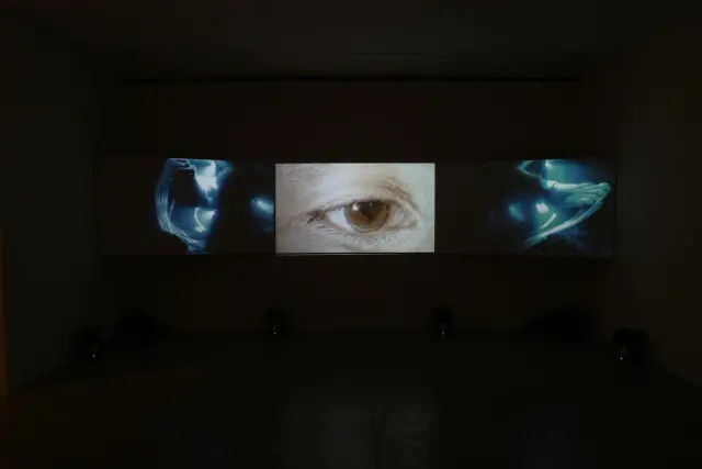 A Cosmic Traveler of Blindness, 2016