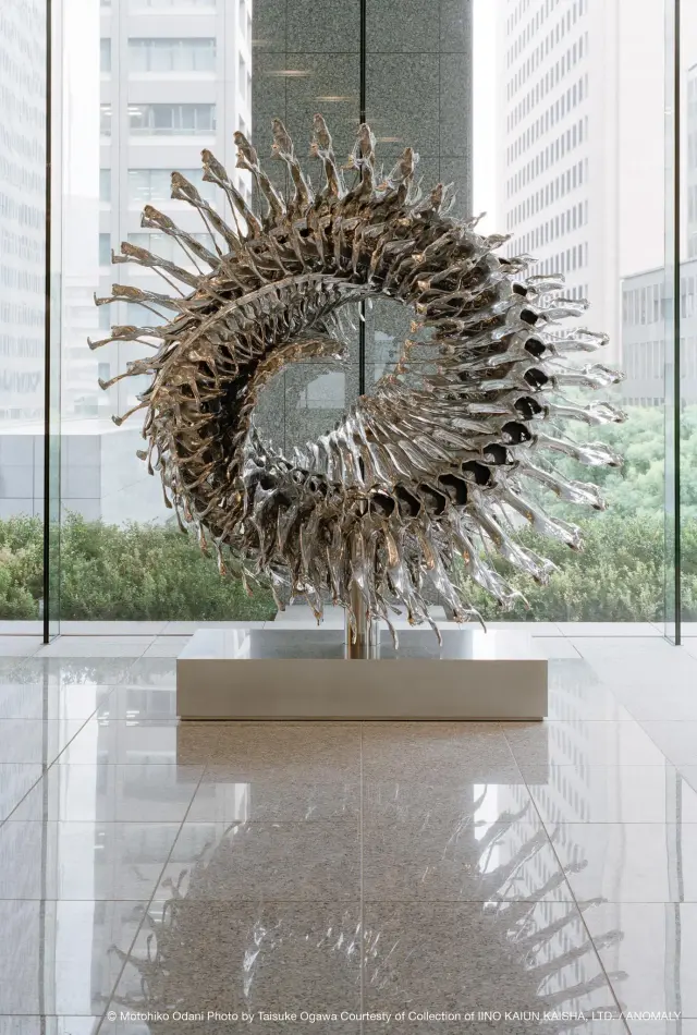 New Born “Halo” (hhs), 2011