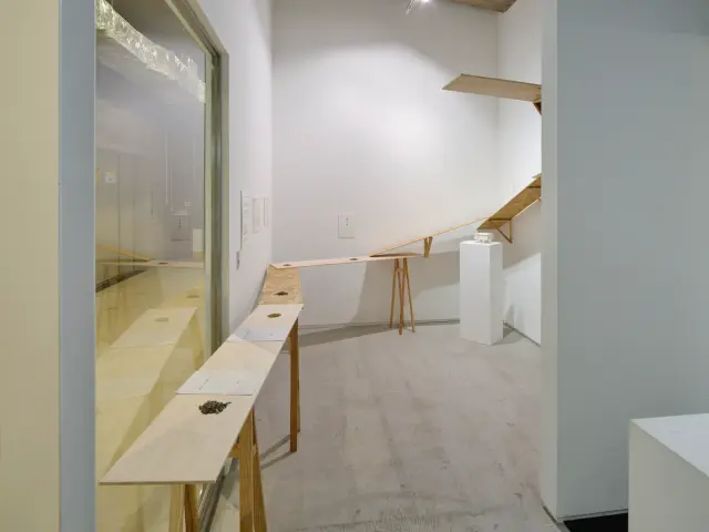 「開発再考 Vol.2, 3」展示風景、ANOMALY、東京、2022 / 撮影：三嶋一路