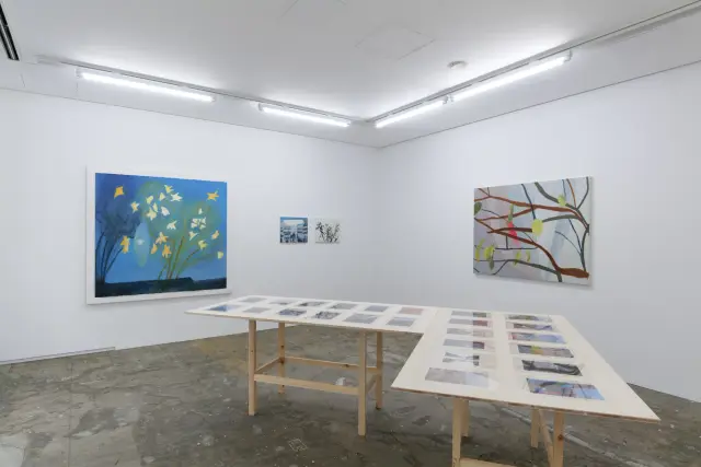 「CADAN有楽町 移転記念展 by 青山｜目黒 & ANOMALY」展示風景、CADAN有楽町、東京、2024 撮影：西山功一
