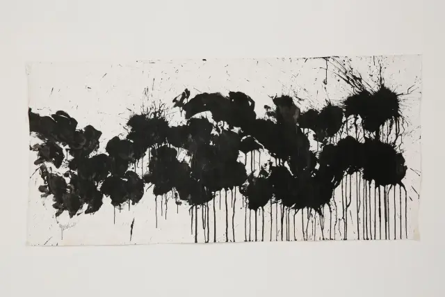 Black on White, 2006