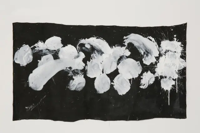 White on Black, 2010