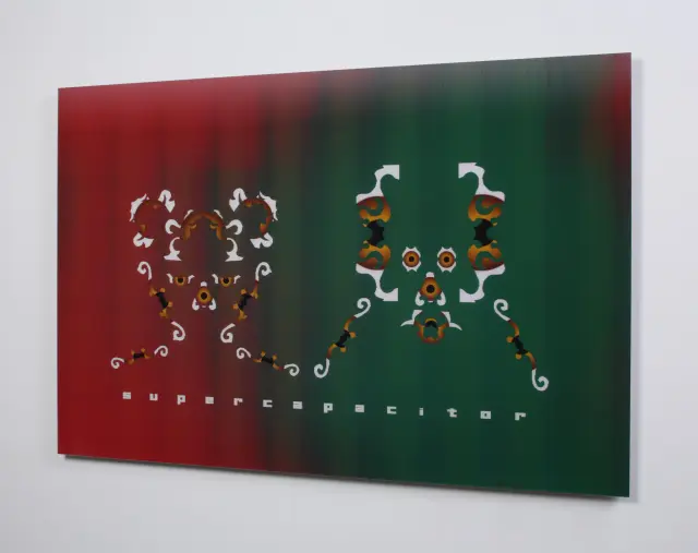 《SC (lenticular)》2008年、レンチキュラーシート、アルミ、H80xW120cm