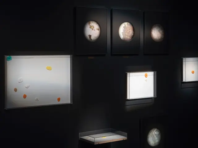 「穴の中の穴の中の穴」展示風景、ANOMALY、2025 / "A Hole within a Hole within a Hole" installation view, ANOMALY, 2025 / Photo: Kenji Morita