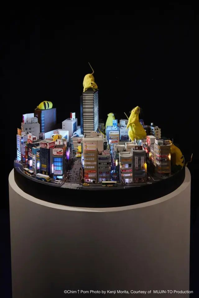 SUPER RAT -Diorama Shinjuku-, 2016