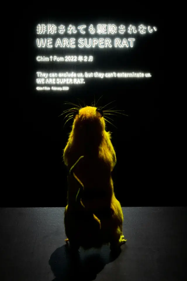 「Chim↑Pom from Smappa!Group」展示風景、ANOMALY、東京、2022 / 撮影：森田兼次