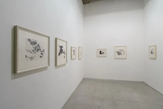 「欠片、植物、人の場所」展示風景、ANOMALY、東京、2024 撮影：長塚秀人