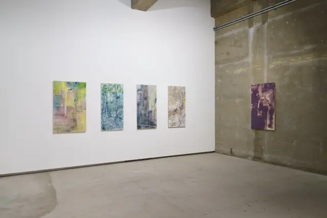 「欠片、植物、人の場所」展示風景、ANOMALY、東京、2024 撮影：長塚秀人