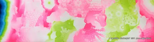 kimidoripink, 2011