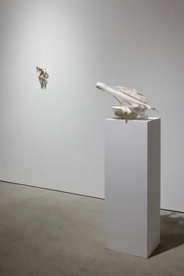 西尾康之 個展「コンパクト化」展示風景、ANOMALY、東京、2025 撮影：木奥恵三 / Nasuyuki Nishio solo exhibition "Compactification" installation view, ANOMALY, Tokyo, 2025 Photo: Keizo Kioku